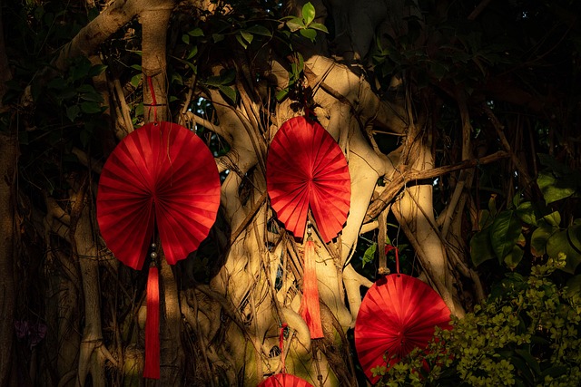 Free Plant Flower photo and picture