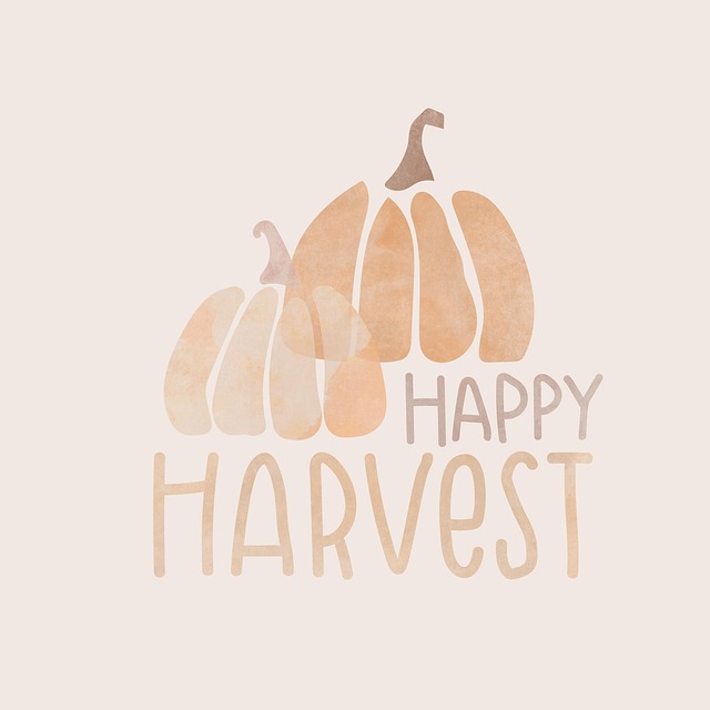Free harvest autumn pumpkin illustration