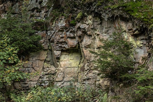 Free Poland Nature photo and picture