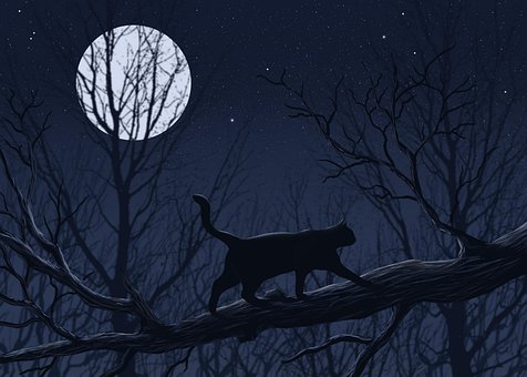 Free Halloween Happy Halloween illustration and picture