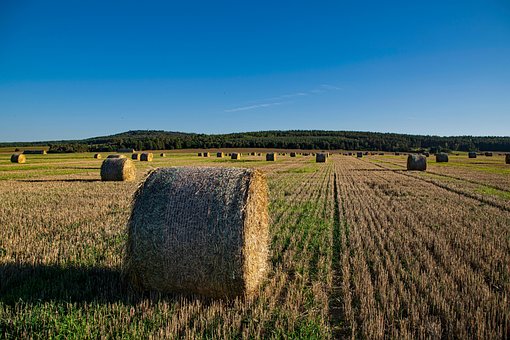 Free Packages Agriculture photo and picture