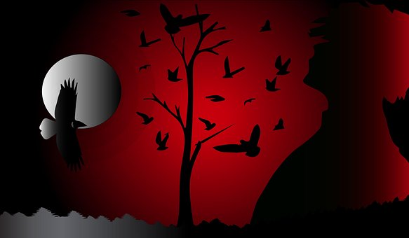 Noite De Lua, Lua, Noite, Natureza