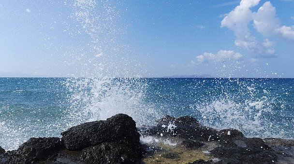 Free Coast Surf photo and picture
