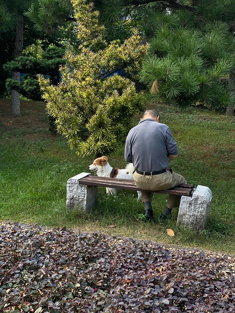 Free Dog People photo and picture