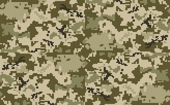 Free Ammunition Armed photo and picture