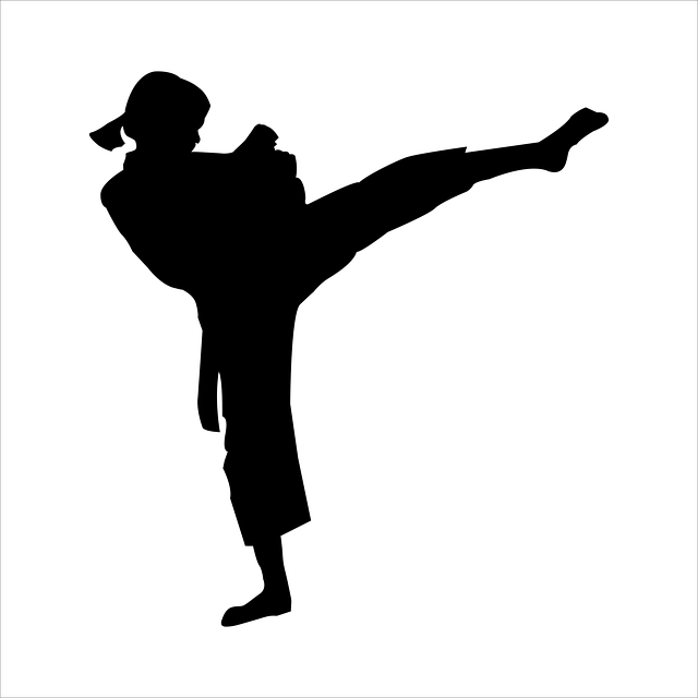 Combatiente, Marcial, Kárate, Luchar