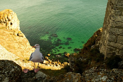 Free Photomontage Fantasy photo and picture