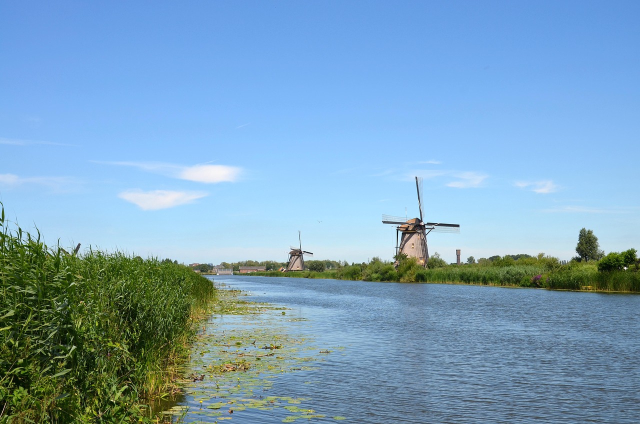 Travel Flowers Netherlands Free photo on Pixabay Pixabay
