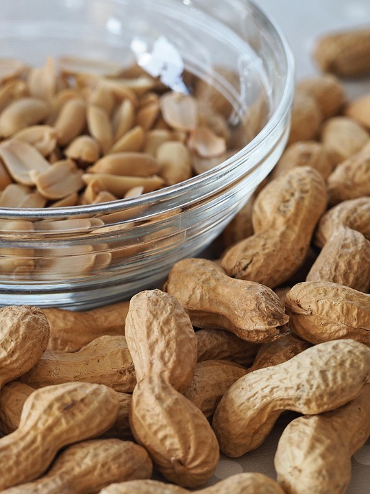 Peanuts Nuts Legumes Free photo on Pixabay Pixabay