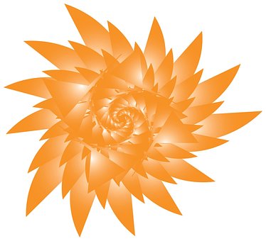 Flor, Natureza, Rosa, Amor, Desenhando
