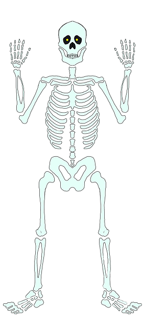 Halloween, Skelet, Ikke For Uhyggelig
