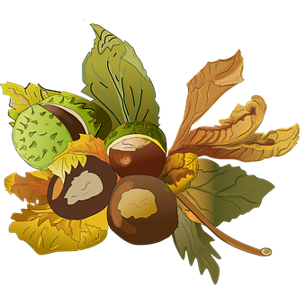 Free Chestnuts Fall illustration and picture