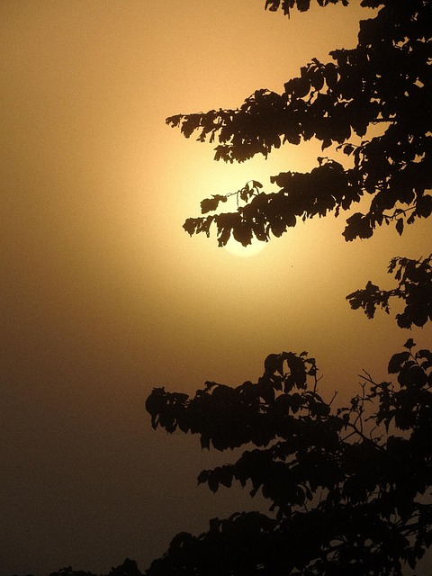 Free Sunrise Nature photo and picture
