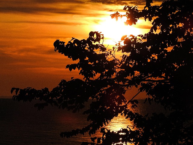 Free Sunrise Baltic Sea photo and picture