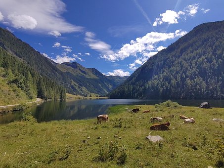 Free Mountains Lake photo and picture