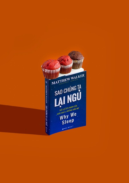 Bánh Ngọt, Nền Màu Cam, Bestil, Giấc Ngủ