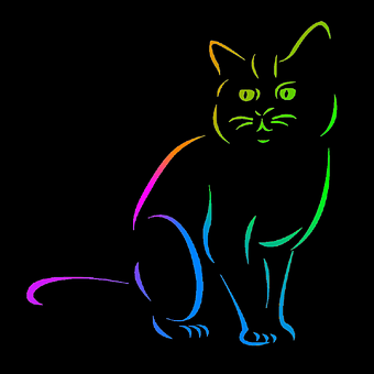 猫, 宠物, 轮廓, 彩虹
