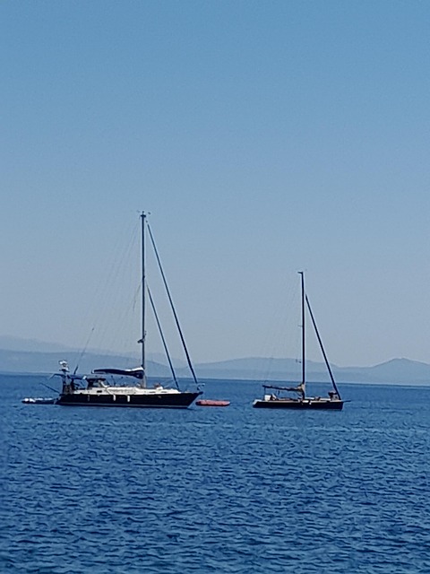 Free Sea Summer photo and picture