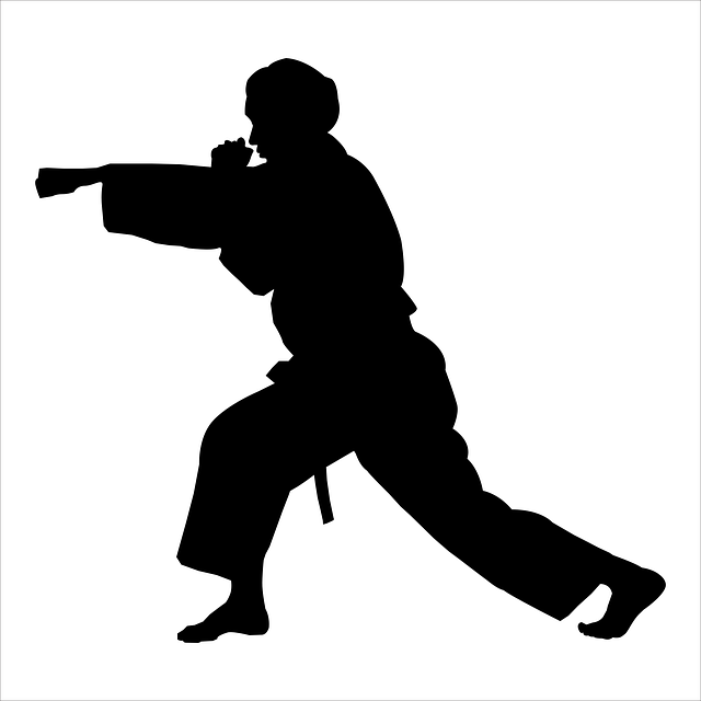 Free Martial Fighter vector and picture