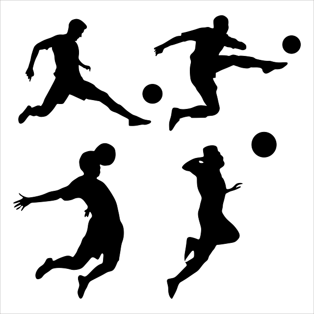 Free sport collection team vector