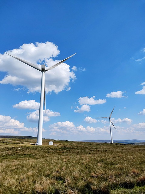 Vindmøllefarm, Vind, Energi