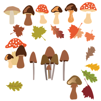 Free Leaves Forest illustration and picture