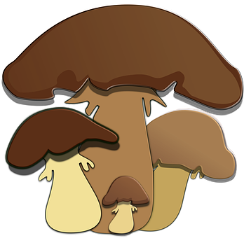 Free Mushrooms Forest vector and picture