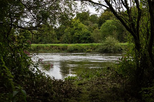 Free Nature River photo and picture