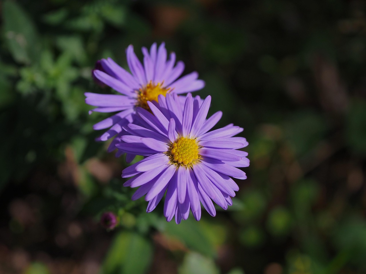 Discover and download free images - Pixabay
