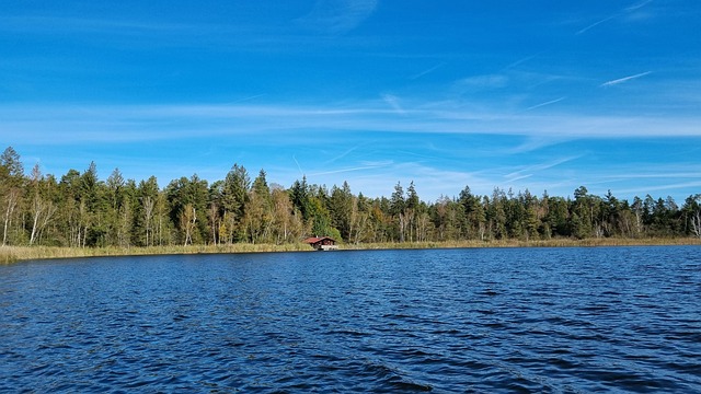 Free Waldsee Lake photo and picture