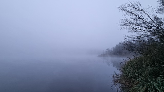 Free Fall Fog photo and picture