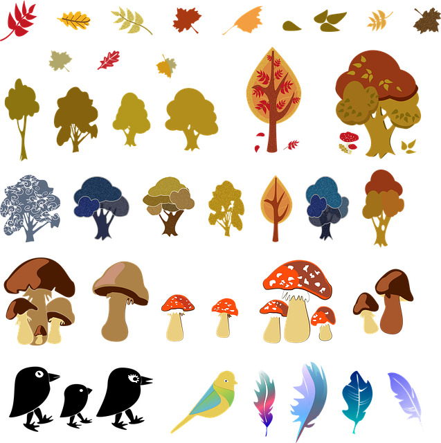 Free Fall Nature vector and picture