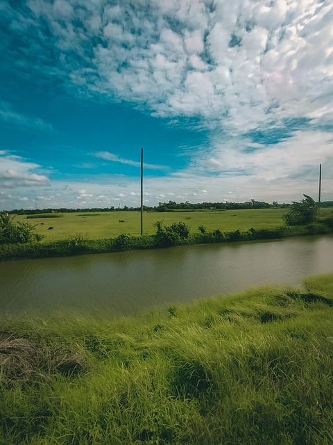 Free Weather Clouds photo and picture