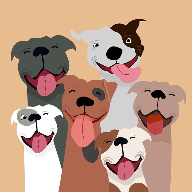 Hunde, Kæledyr, Natur, Baggrund, Pakke