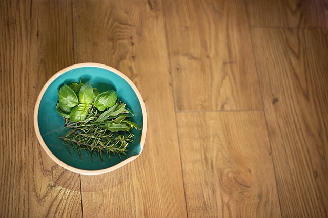Free Herbs Basil photo and picture
