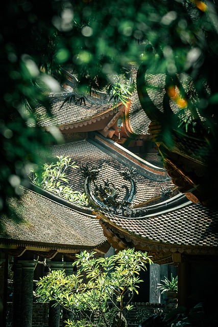 Free Dragon Architecture photo and picture