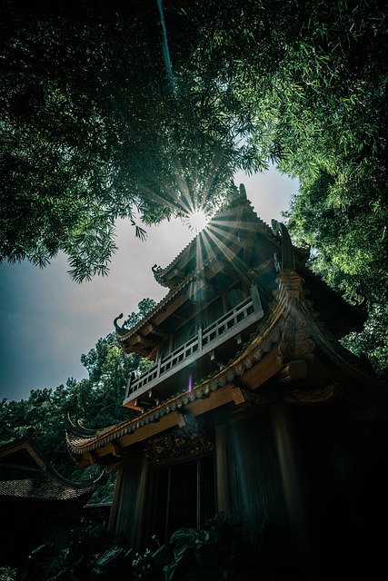 Free Vietnam Pagoda photo and picture