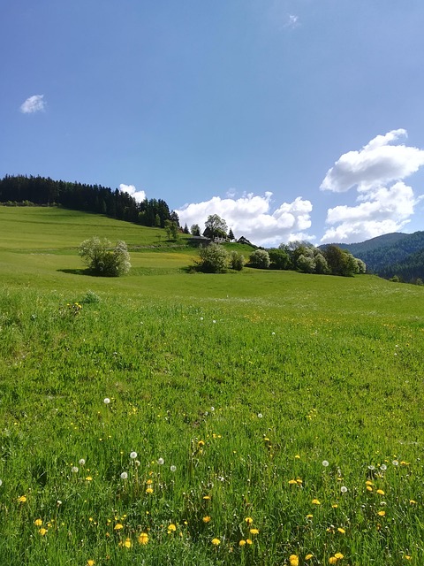 styria-sterreich-natur-kostenloses-foto-auf-pixabay-pixabay