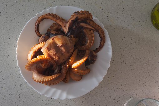 Free Polyp Recipe photo and picture