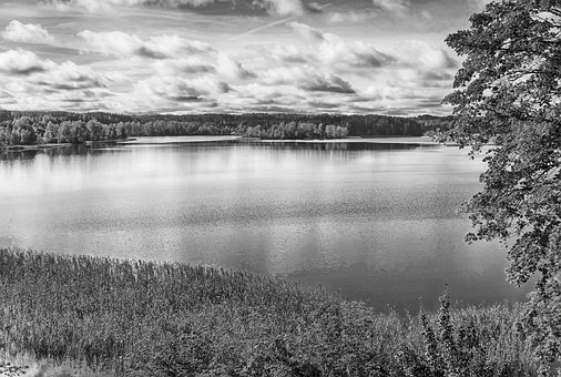 Free Lake Trees photo and picture