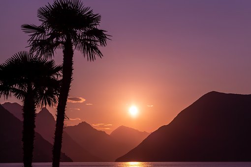 Palmen, Sonnenuntergang, Silhouette
