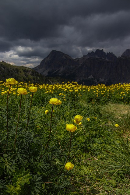 Free Nature Sky photo and picture