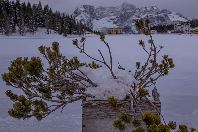Free Lake Italy photo and picture