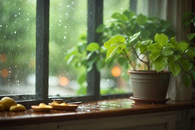 Free ai generated window pot plant illustration
