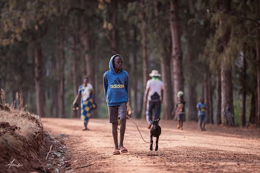 Afrikanisch, Kind, Ziege, Landschaft