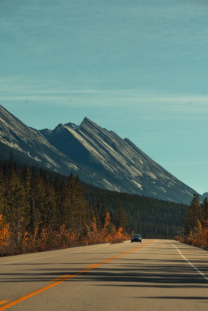 Estrada, Canadá, Banff, Alberta, Outono