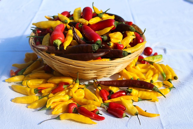 Pimenta, Colheita, Focado