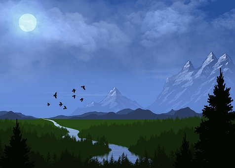 Free Valley Forest illustration and picture