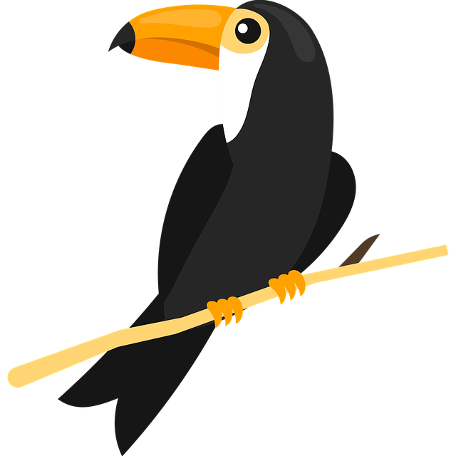 Free toucan bird poster illustration