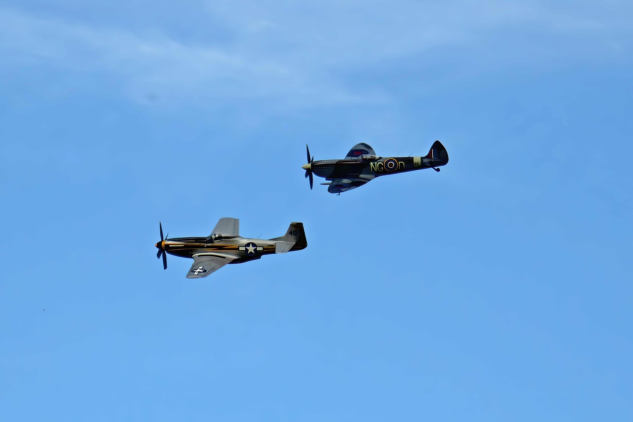 Meludahkan Api Terbang Mustang - Foto gratis di Pixabay - Pixabay